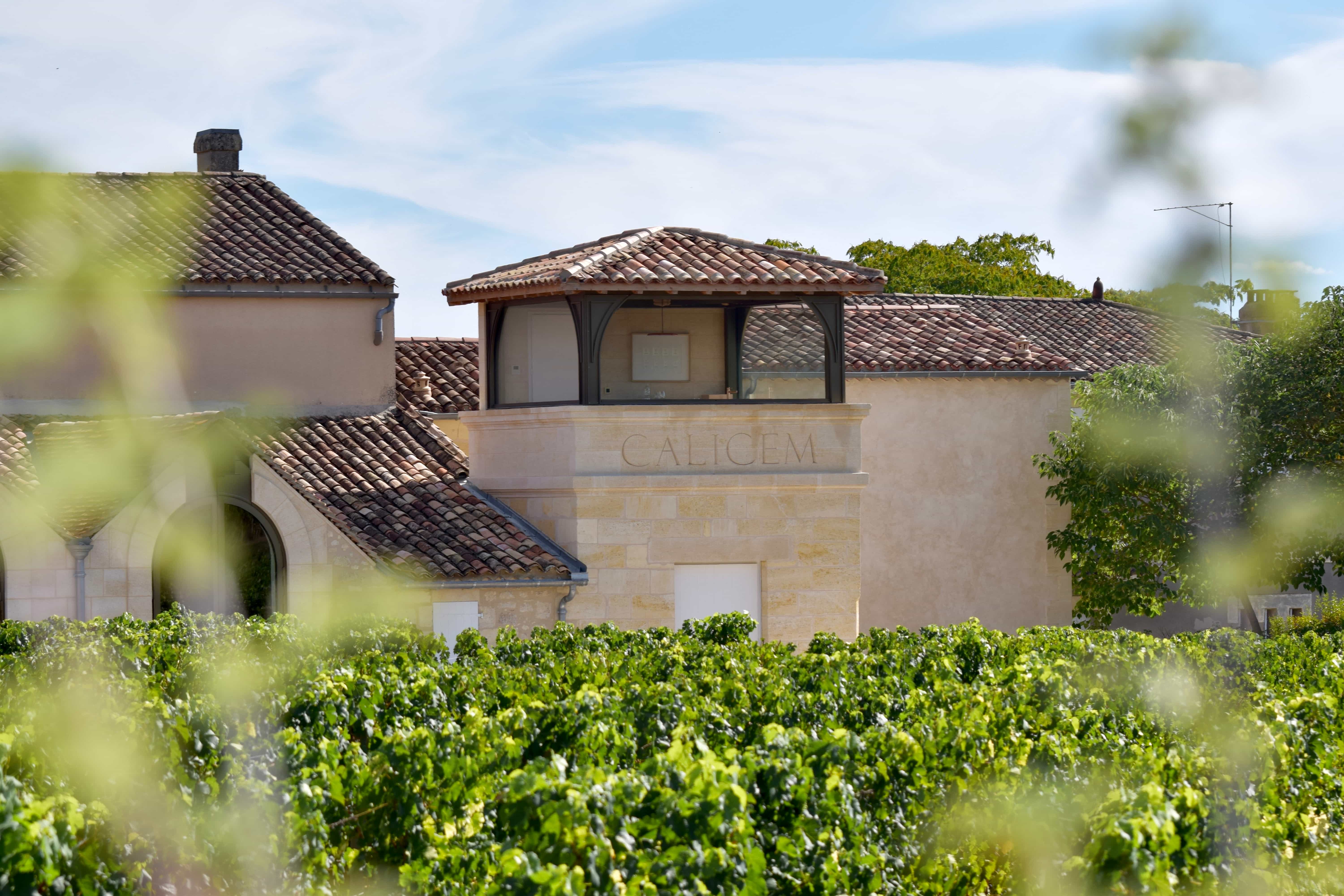 CALICEM sits on a 0.8 hectare plot in Saint-Émilion. (Photo Credit: CALICEM)
