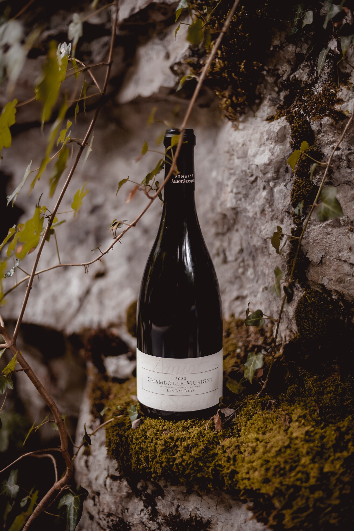 Domaine Amiot-Servelle Les Bas-Doix.