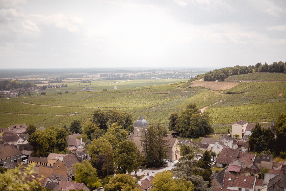 Chambolle-Musigny is a village with about 300 inhabitants, where Prune and Antoine grew up. (Photo Credit: