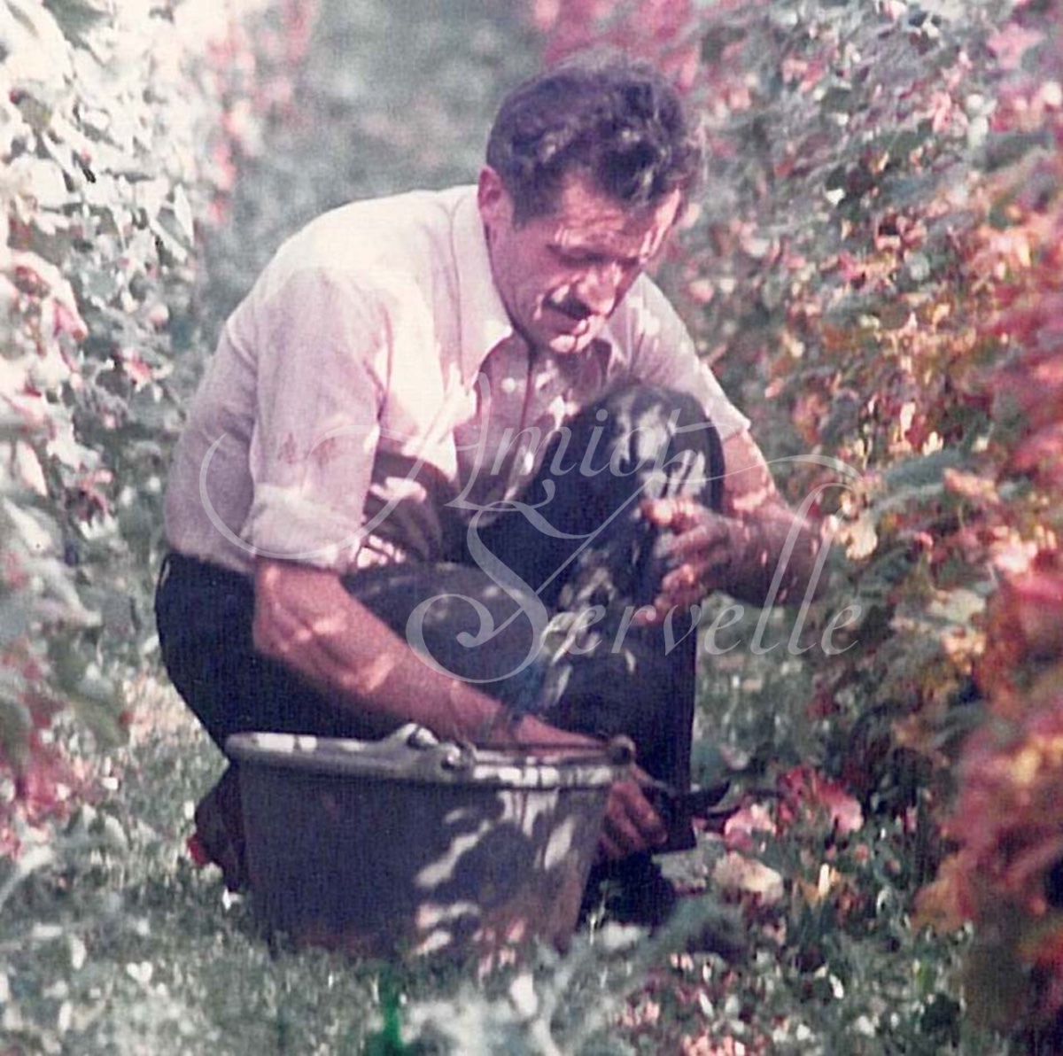 Jean Servelle. (Photo Credit: Domaine