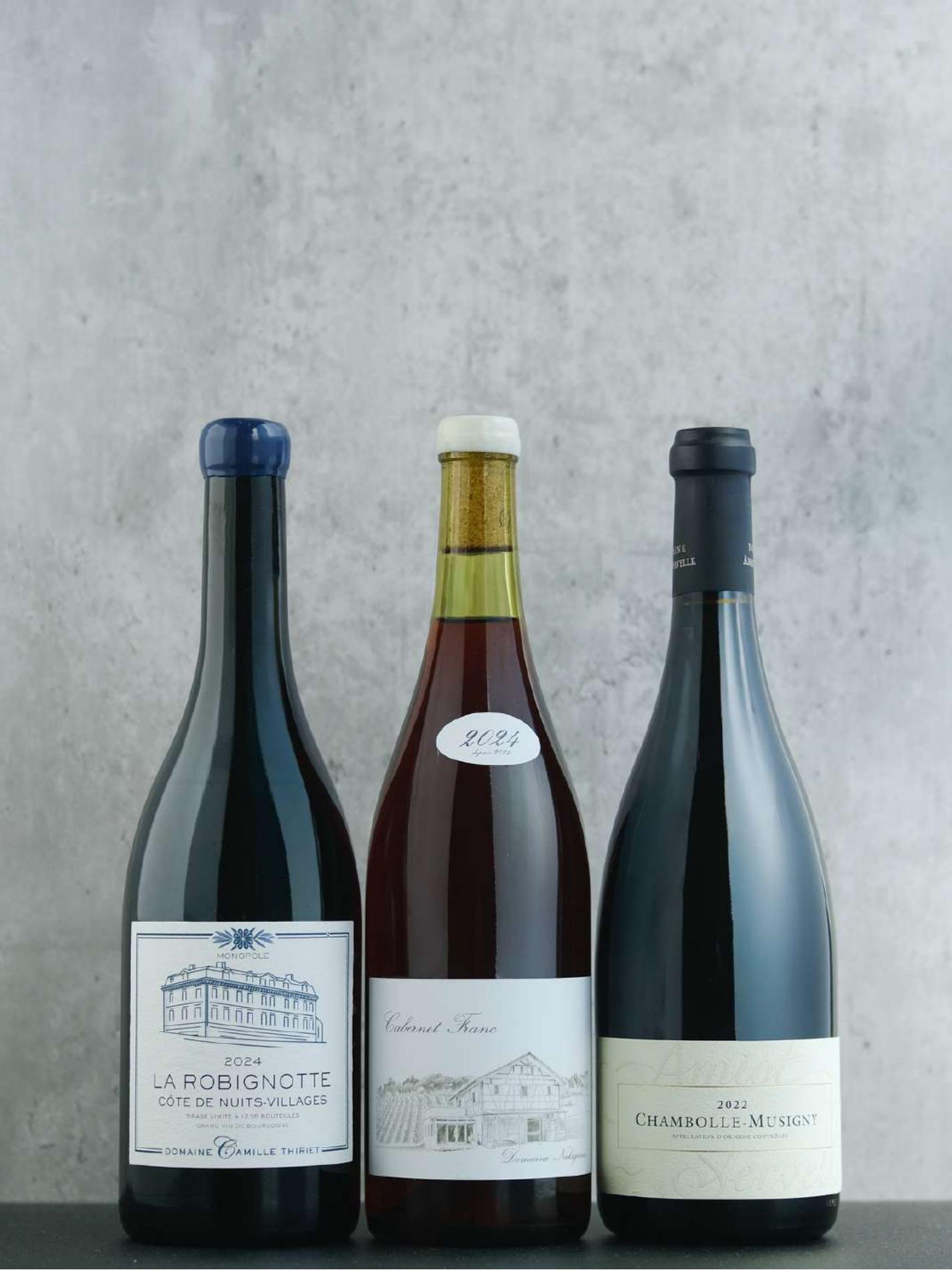 Portfolio Highlight: Artisan Cellars, Singapore